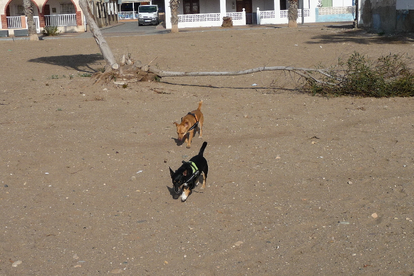 Herbst 2015, Wir sind wieder in Spanien.