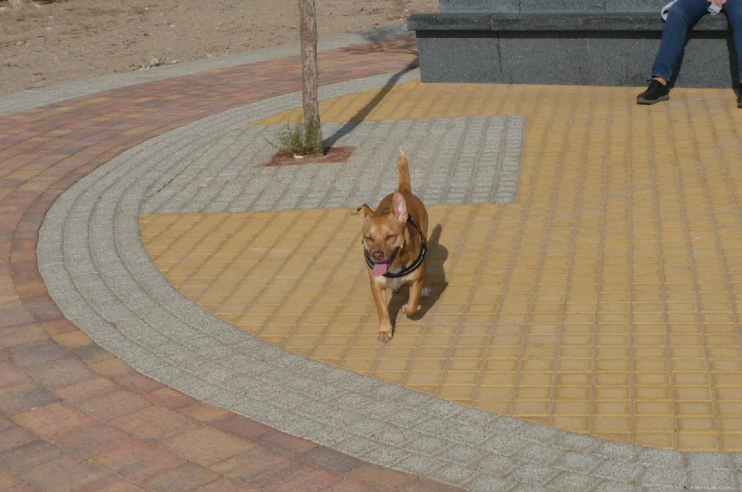 Auch Bella freut sich wieder hier zu sein.