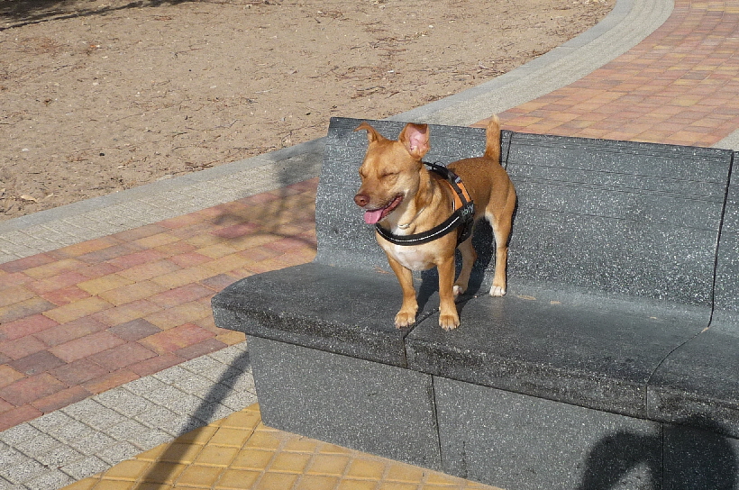 Die Granitbänke sind Nachmittags chön warm.