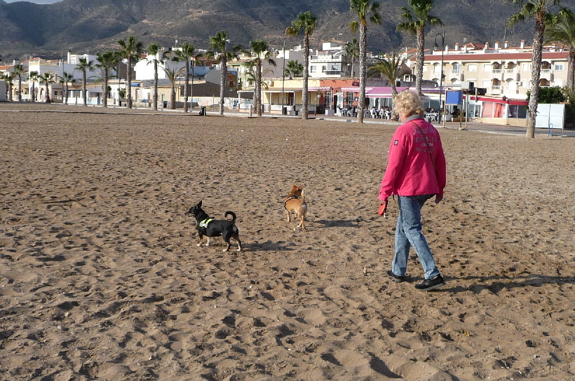 Frauchen muss uns hinterher laufen, wir gehen mit ihr spazierent.
