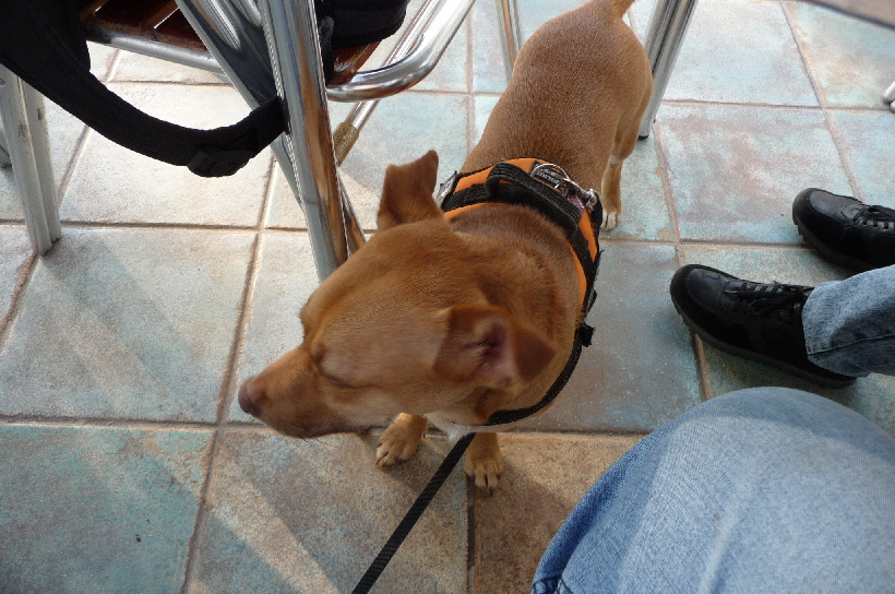 Hier sind wir im Oaiss De Las Palmeras...