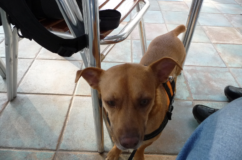 Hier sind wir mal wieder am Oasis De Las Palmeras...