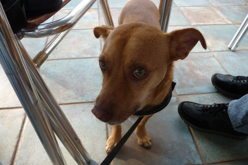 ...gleich fällt für mich bestimmt etwas ab.