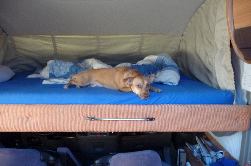 ...Das hat mir anfangs überhaupt nicht gefallen, es war mir viel zu hoch hier oben.