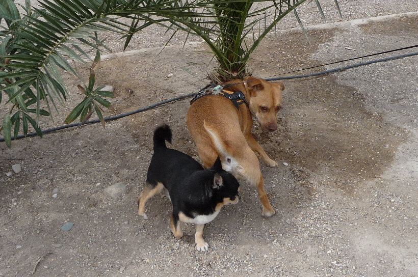 Es geht bald nach wieder nach Deutschland. Inzwischen ist schon fast alles abgebaut,sogar der grüne Teppich,