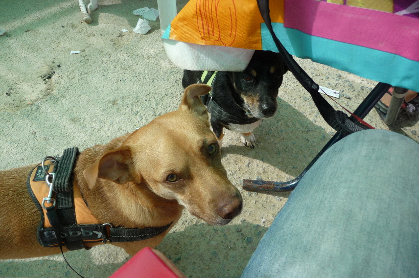 Für diesen Winter sind wir das letzte Mal auf dem Markt.