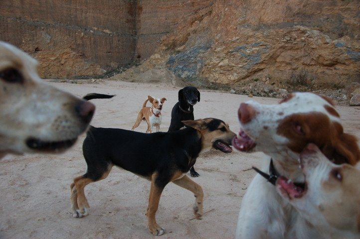 Foto C.Richardt: Hier glaubte ich noch, dass ich  für Carlos das richtige getan hatte.