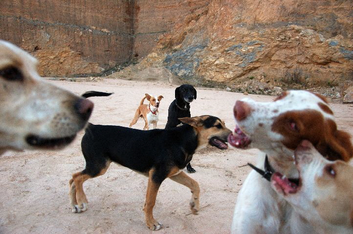 Foto C.Richardt: Damals glaubte ich noch, das richtige für Carlos getan zu haben.