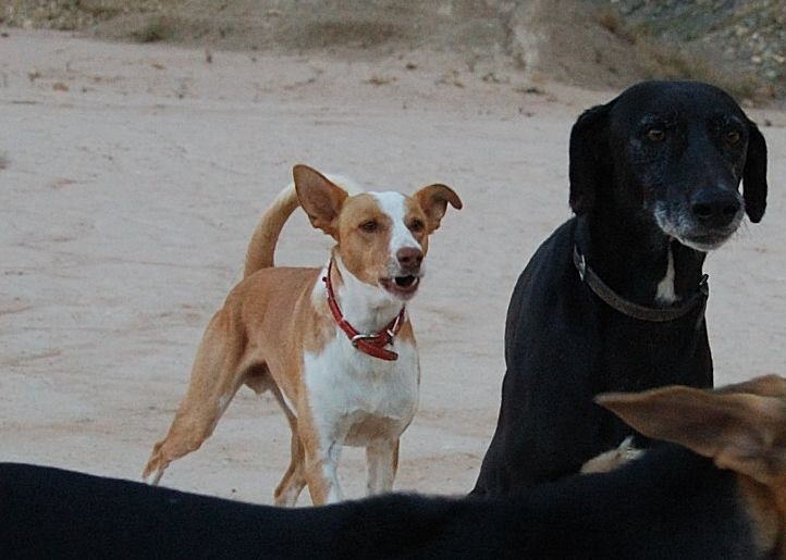 Foto C.Richardt: Schade, dass ich Carlos warscheinlich nie wiedersehen werde, Ich hatte mich so darauf gefreut.