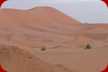 Die Wüste lebt, Allradautos kommen von der Düne
